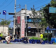 '춘천에 또 맥주가 와르르'..빗자루 들고 나타난 시민 천사들