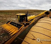 중국, 미국산 곡물 의존도 줄이려 브라질산 옥수수 수입 서둘러
