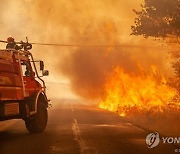 France Wildfires