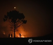 PORTUGAL FOREST FIRE