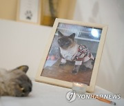 CHINA PHOTO SET ANIMAL PET FUNERAL