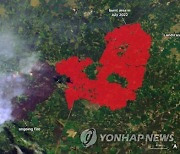 FRANCE WILDFIRES