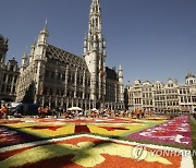 BELGIUM BRUSSELS FLOWER CARPET