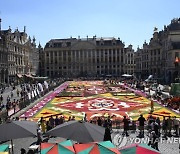 Belgium Flower Carpet