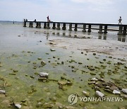 Italy Lake Garda Drought