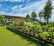 국립세종수목원, '정원식물 전시·품평회' 출품 식물 모집