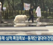 강릉·동해·삼척 폭염특보..동해안 열대야 전망