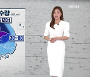 [12시 날씨] 전국 비..수도권·충청 북부 호우예비특보