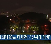 충북 밤사이 최대 80mm 더 내려.."산사태 대비"