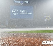 창원 NC와 LG 경기, 갑자기 내린 폭우로 취소 [사진]
