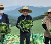 추경호, 강원 배추밭 찾아 작황 점검.."추석 물가 대응 총력"