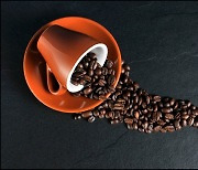 커피 많이 마시면 골다공증?..카페인 먹자 소변서 '이 성분' 늘어