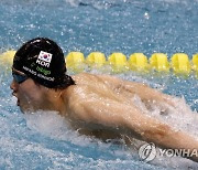 황선우, 접영 100m서도 한국기록 보유자 제치고 1위(종합)
