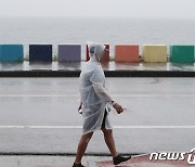 [오늘의 날씨] 대전·충남 (14일, 일)..충남북부 시간당 30mm 강한 비