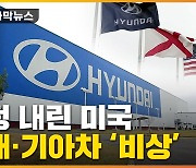 [자막뉴스] '자국 중심' 서두르는 美..국내 기업들 '파장'