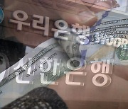 '수상한' 외화송금 7조 넘어..검사 확대 불가피