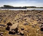라인강이 고작 30cm.. 최악 가뭄 유럽, 경제 직격탄