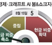 "현금 줄이고 주식비중 늘릴때"..붐&쇼크 3주 연속 안전구간