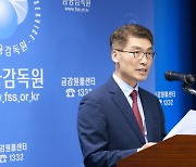 '수상한 해외송금' 8조5000억원 초과..금감원 "검사 확대 불가피"