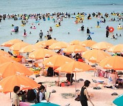 '여름 휴가 절정, 북적이는 제주 협재해수욕장'