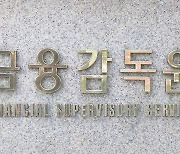 '이상 해외송금' 8조원 넘어..금감원 검사 확대 불가피