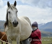 Kyrgyzstan Kumis Photo Gallery