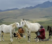 Kyrgyzstan Kumis Photo Gallery