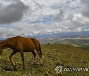 Kyrgyzstan Kumis Photo Gallery