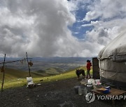 Kyrgyzstan Kumis Photo Gallery