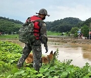 [집중호우] 7개 시도 7천595명 대피..14명 사망·6명 실종(종합2보)