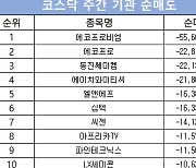 코스닥 주간 기관 순매도 1위 '에코프로비엠'