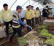 [포토] 이성희 농협회장, 집중호우 피해지역 점검