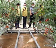 횡성 수해 농장 찾은 이성희 농협회장