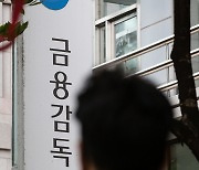 금감원, 은행권 이상 해외송금 조사 나선다 '위법 엄중조치'