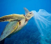 해양쓰레기, 인류가 지구에 남기는 영원한 상처