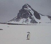 때 묻지 않은 절대 순수의 세계..사진으로 만나는 '남극'