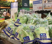지난달 채소 가격 20% 가량 급등..폭우 등 추가 피해 우려도