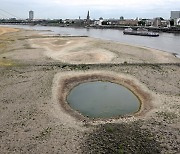 500년 만의 유럽 최악 가뭄에.. "라인강이 메말랐다"