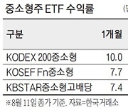 증시 반등에 중소형주 ETF 관심