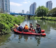 부산 온천천 물고기 수천마리 집단 폐사..구청 수거