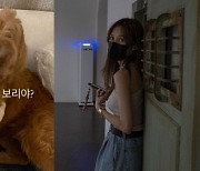 '엄태웅♥' 윤혜진 "개판이네"..집안에서 '犬싸움' 난리났다