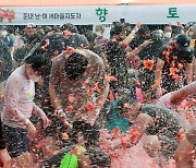 박진감 넘치는 토마토 축제
