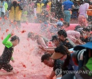 박진감 넘치는 토마토 축제