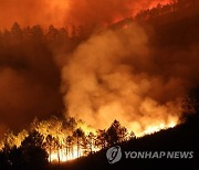 SPAIN FOREST FIRE