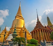 대마초 천국된 태국..관광청·여행사는 '나몰라라'