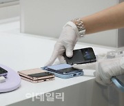 [포토]다양한 색상으로 나온 갤럭시Z플립4