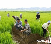 북한, 폭우 지속.. '농작물 피해' 대응이 최우선 과제
