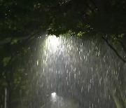 [날씨] 밤사이 정체전선 남하..전국 곳곳 호우특보