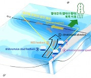 남극 앞바다 기후변화, 열대지역 비구름 옮긴다