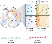 고부가 의약품 소재 생산·맞춤형 저장까지 '올인원(all-in-one)'